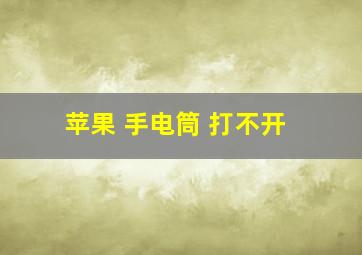 苹果 手电筒 打不开